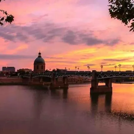 La Citronnelle - Hyper-centre Toulouse